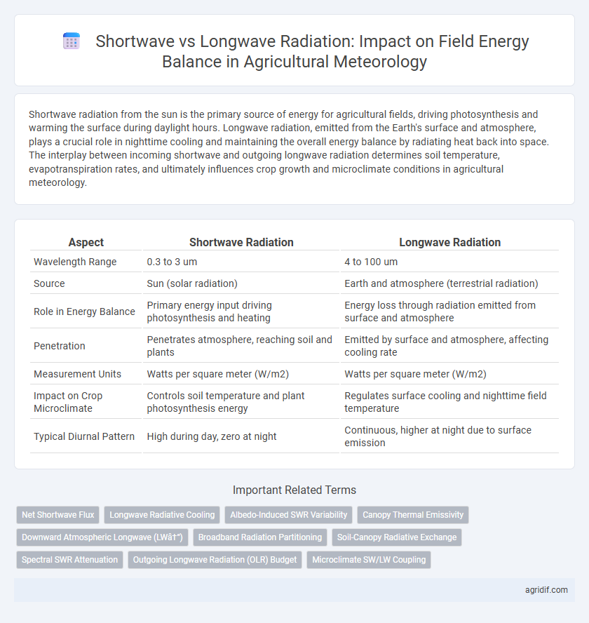Shortwave vs Longwave Radiation: Impact on Field Energy Balance in Agricultural Meteorology