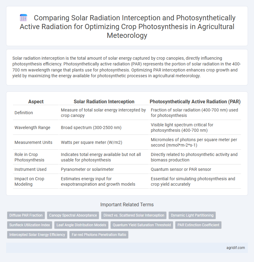 Comparing Solar Radiation Interception and Photosynthetically Active Radiation for Optimizing Crop Photosynthesis in Agricultural Meteorology