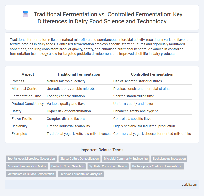 Traditional Fermentation vs. Controlled Fermentation: Key Differences in Dairy Food Science and Technology