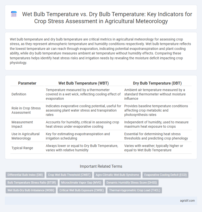 Wet Bulb Temperature vs. Dry Bulb Temperature: Key Indicators for Crop Stress Assessment in Agricultural Meteorology