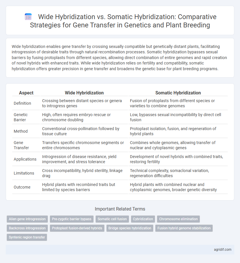 Wide Hybridization vs. Somatic Hybridization: Comparative Strategies for Gene Transfer in Genetics and Plant Breeding