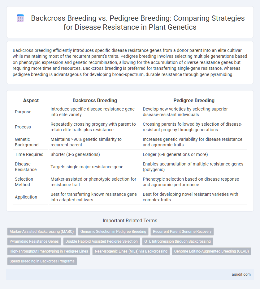 Backcross Breeding vs. Pedigree Breeding: Comparing Strategies for Disease Resistance in Plant Genetics