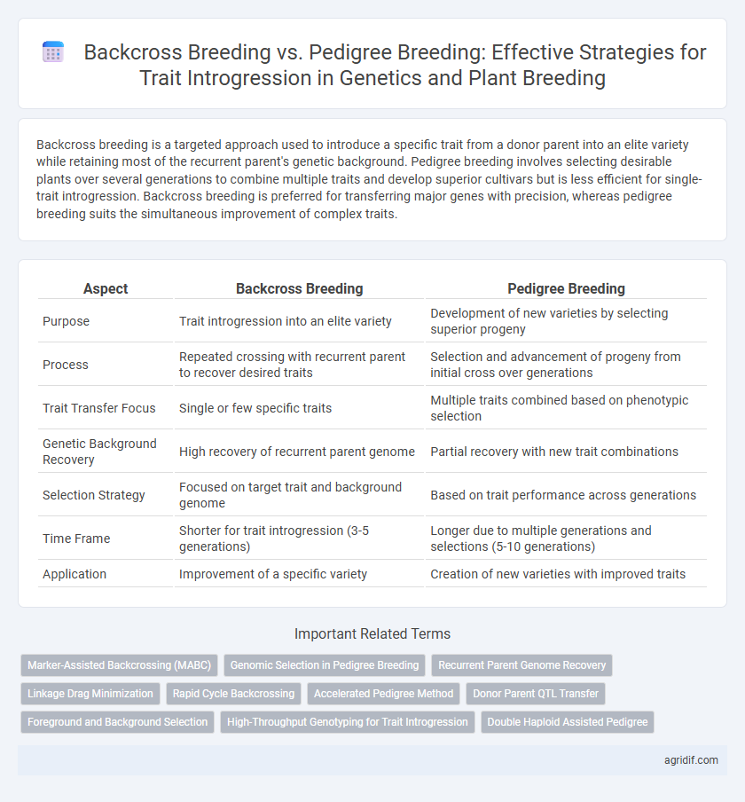 Backcross Breeding vs. Pedigree Breeding: Effective Strategies for Trait Introgression in Genetics and Plant Breeding