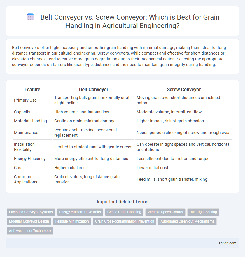Belt Conveyor vs. Screw Conveyor: Which is Best for Grain Handling in Agricultural Engineering?