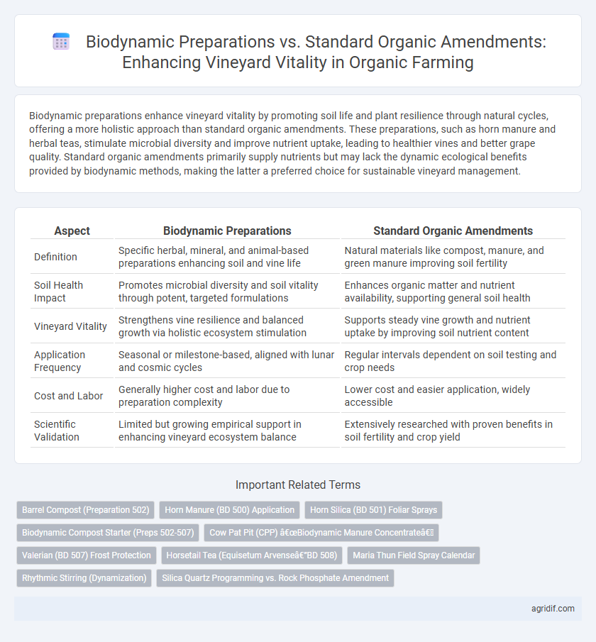 Biodynamic Preparations vs. Standard Organic Amendments: Enhancing Vineyard Vitality in Organic Farming