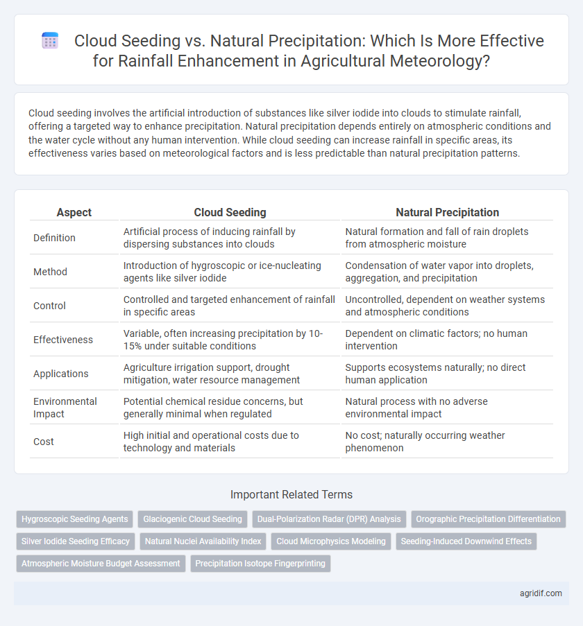 Cloud Seeding vs. Natural Precipitation: Which Is More Effective for Rainfall Enhancement in Agricultural Meteorology?