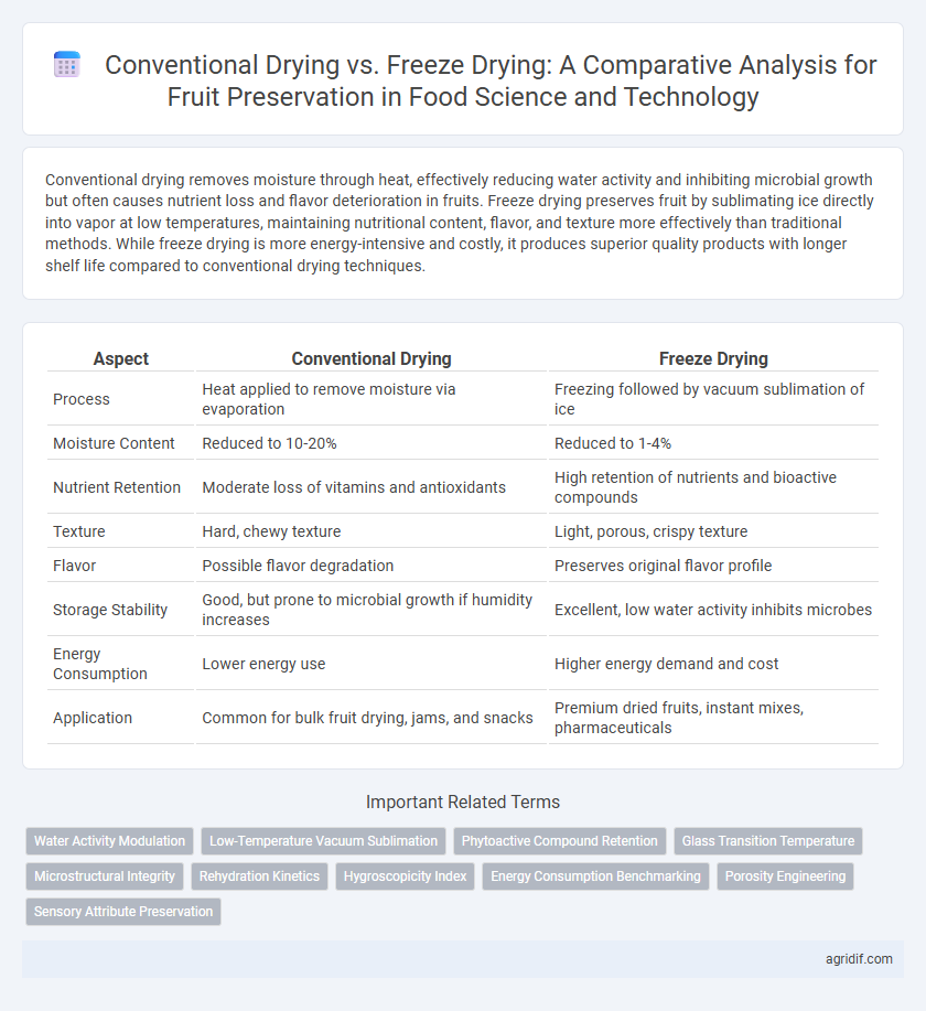 Conventional Drying vs. Freeze Drying: A Comparative Analysis for Fruit Preservation in Food Science and Technology