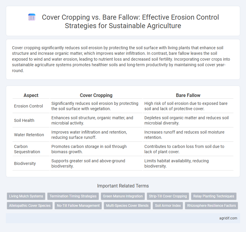 Cover Cropping vs. Bare Fallow: Effective Erosion Control Strategies for Sustainable Agriculture