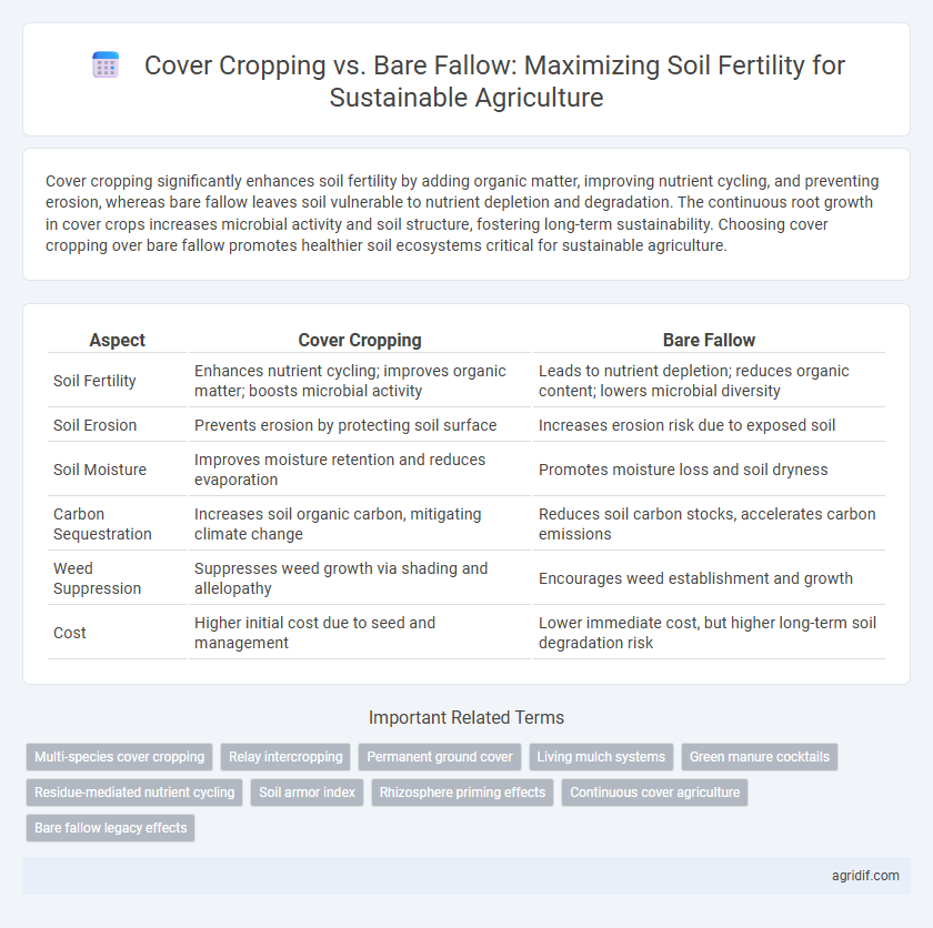 Cover Cropping vs. Bare Fallow: Maximizing Soil Fertility for Sustainable Agriculture