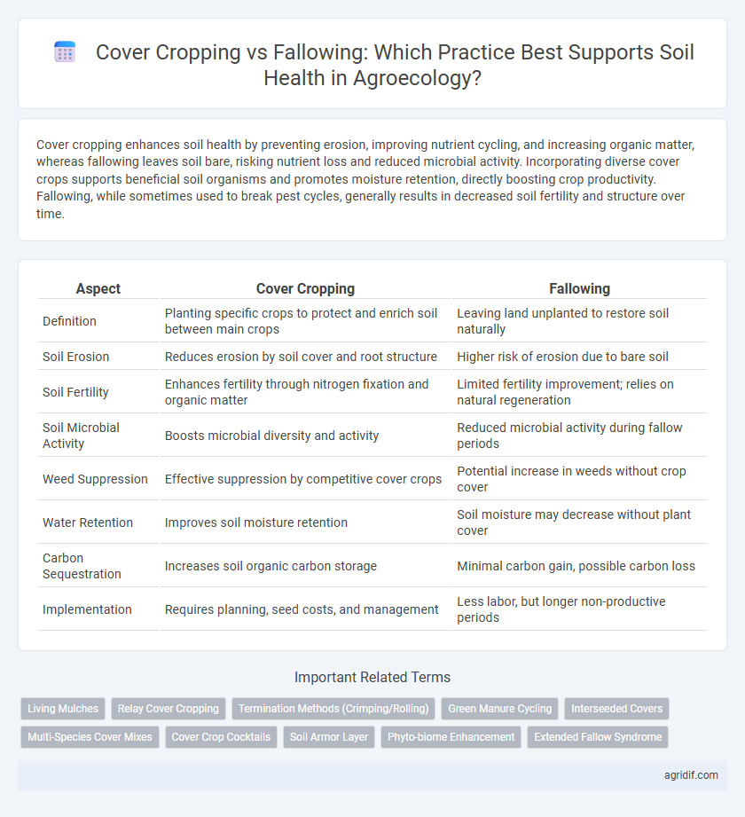 Cover Cropping vs Fallowing: Which Practice Best Supports Soil Health in Agroecology?