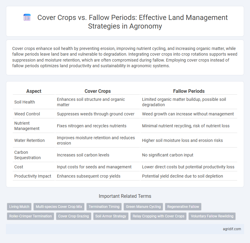 Cover Crops vs. Fallow Periods: Effective Land Management Strategies in Agronomy