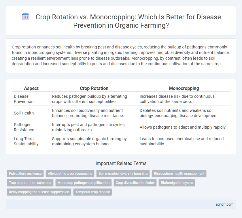 Crop Rotation vs. Monocropping: Which Is Better for Disease Prevention in Organic Farming?