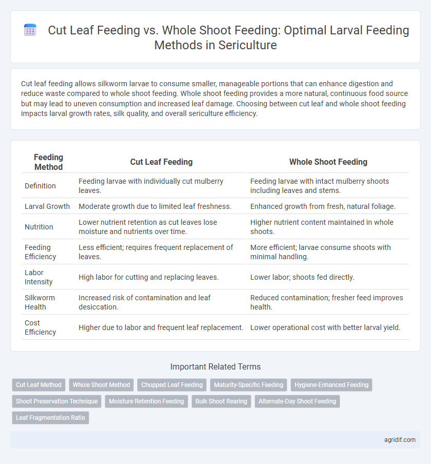 Cut Leaf Feeding vs. Whole Shoot Feeding: Optimal Larval Feeding Methods in Sericulture