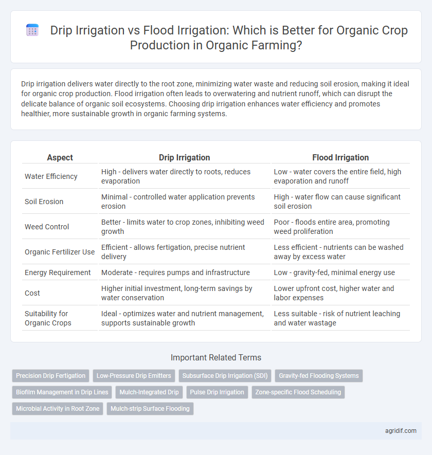 Drip Irrigation vs Flood Irrigation: Which is Better for Organic Crop Production in Organic Farming?