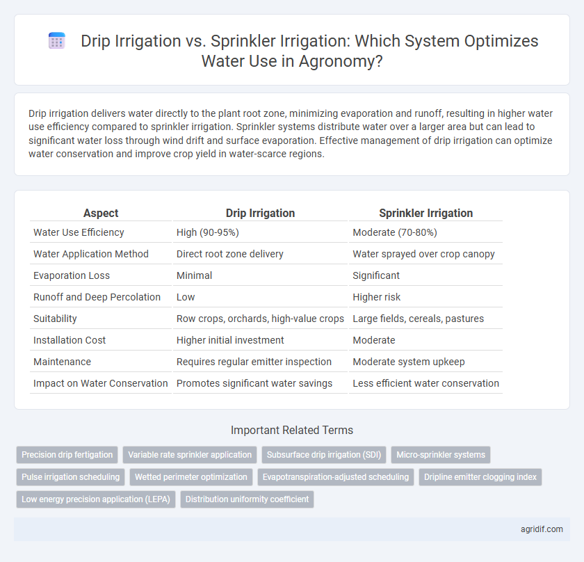 Drip Irrigation vs. Sprinkler Irrigation: Which System Optimizes Water Use in Agronomy?