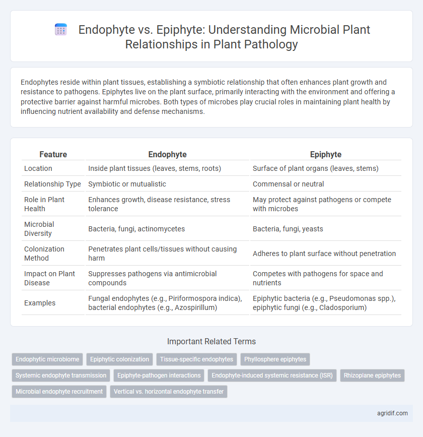 Endophyte vs. Epiphyte: Understanding Microbial Plant Relationships in Plant Pathology