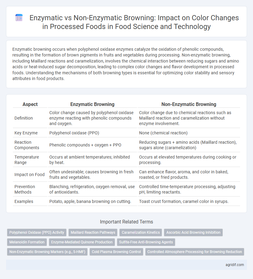 Enzymatic vs Non-Enzymatic Browning: Impact on Color Changes in Processed Foods in Food Science and Technology