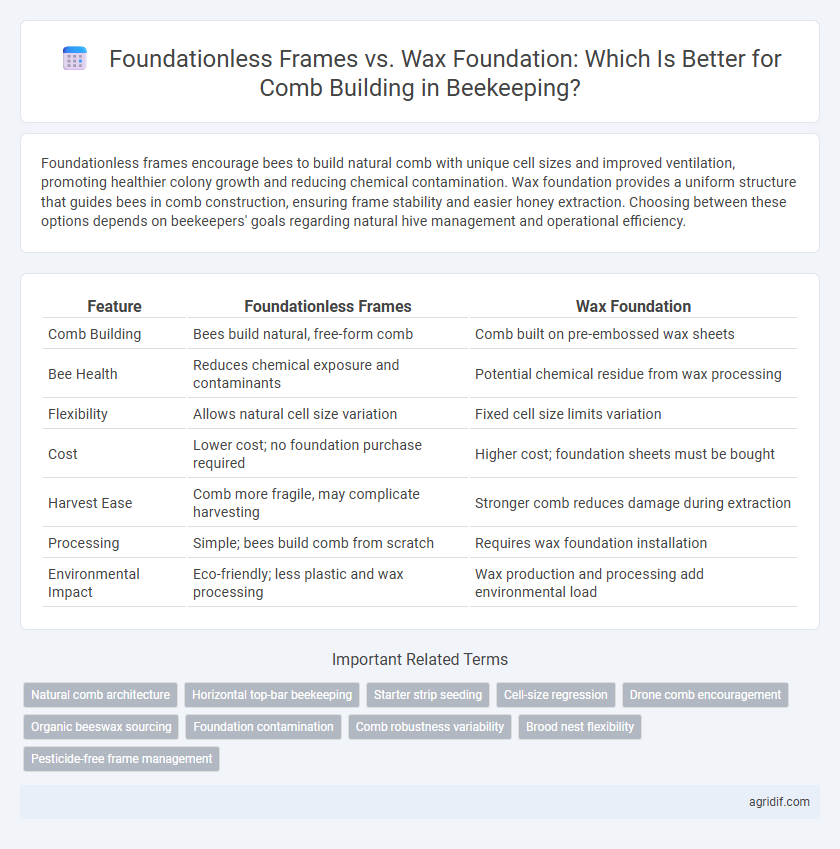Foundationless Frames vs. Wax Foundation: Which Is Better for Comb Building in Beekeeping?
