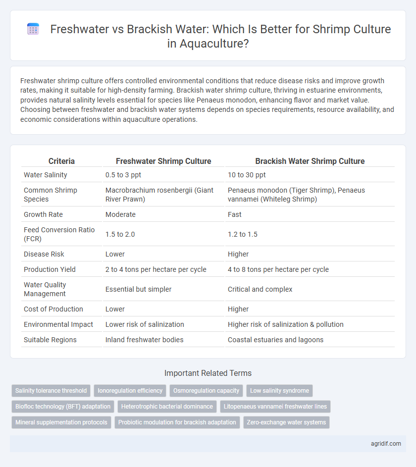 Freshwater vs Brackish Water: Which Is Better for Shrimp Culture in Aquaculture?