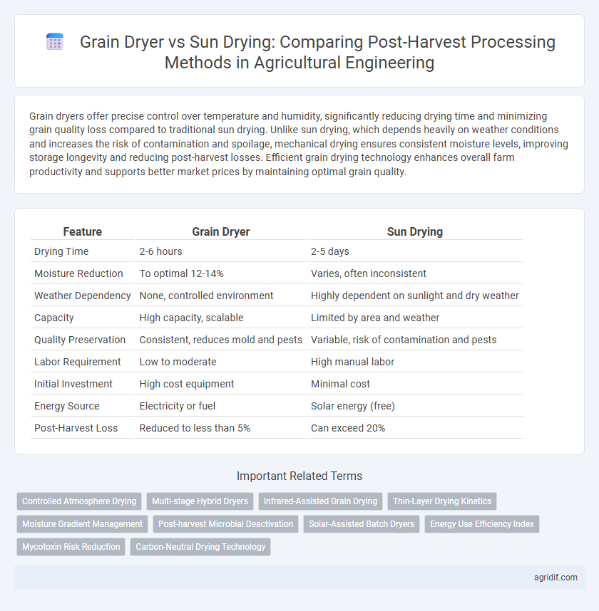 Grain Dryer vs Sun Drying: Comparing Post-Harvest Processing Methods in Agricultural Engineering