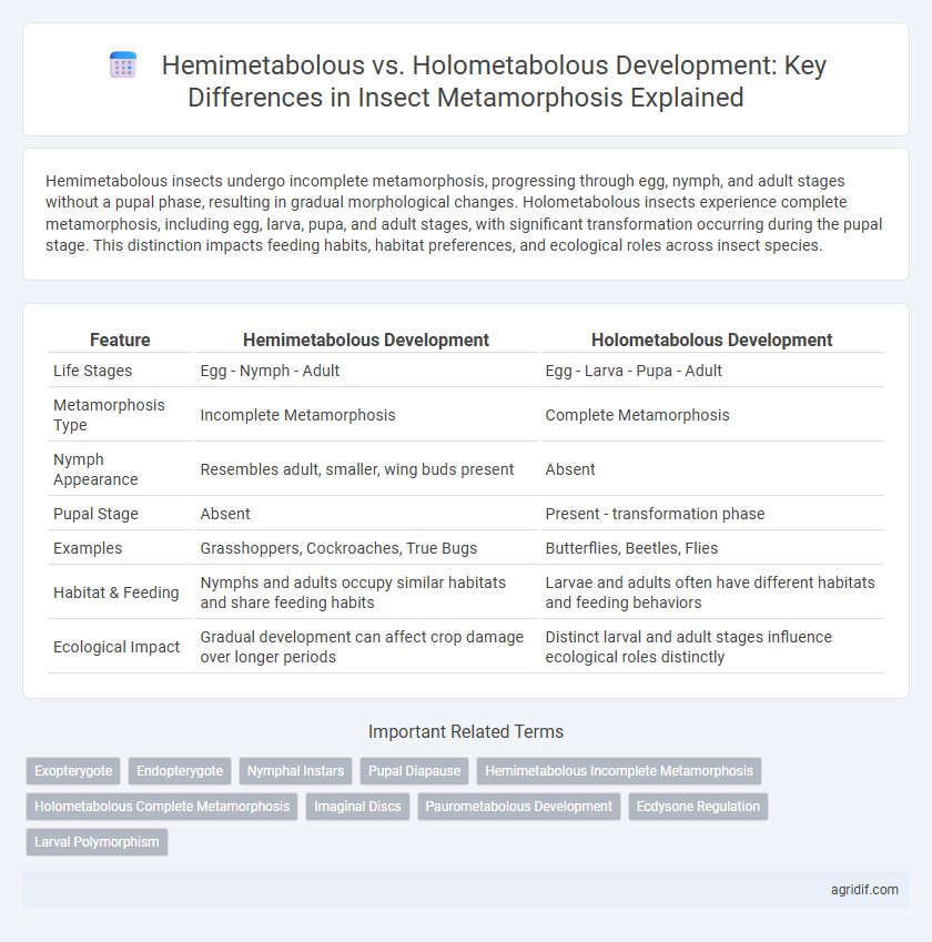 Hemimetabolous vs. Holometabolous Development: Key Differences in Insect Metamorphosis Explained