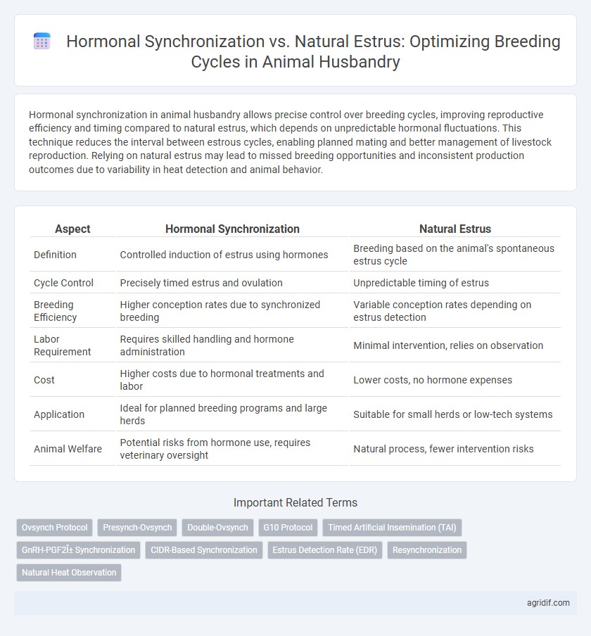 Hormonal Synchronization vs. Natural Estrus: Optimizing Breeding Cycles in Animal Husbandry