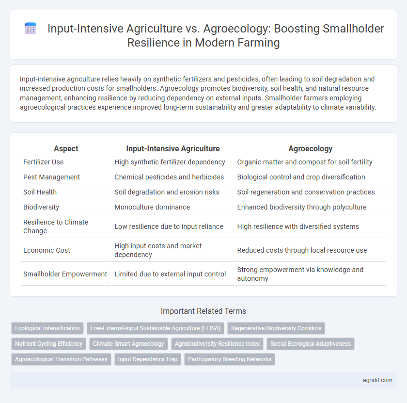 Input-Intensive Agriculture vs. Agroecology: Boosting Smallholder Resilience in Modern Farming