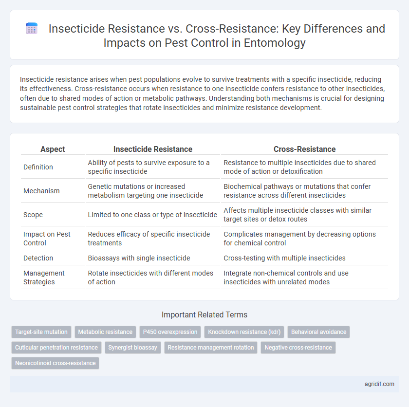 Insecticide Resistance vs. Cross-Resistance: Key Differences and Impacts on Pest Control in Entomology
