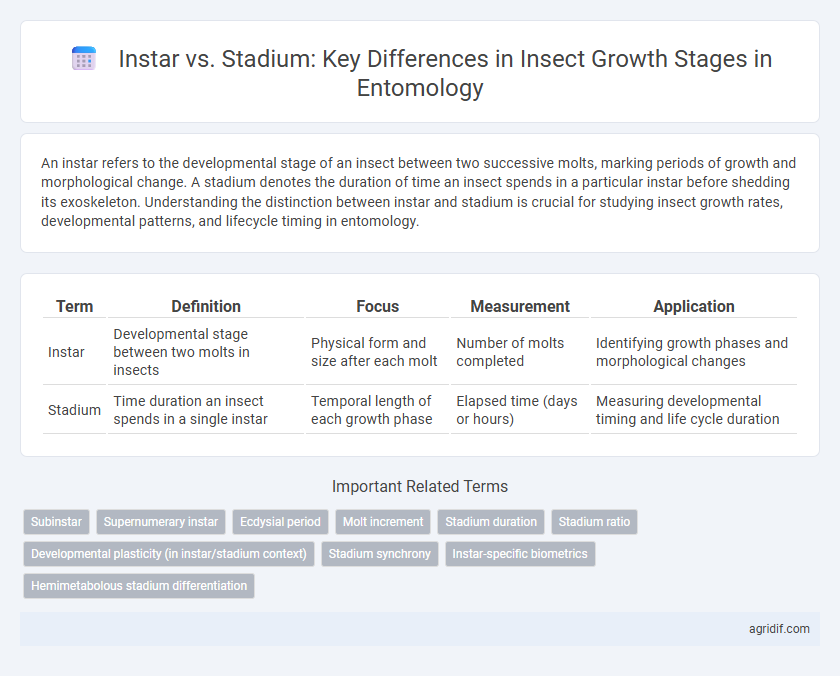 Instar vs. Stadium: Key Differences in Insect Growth Stages in Entomology