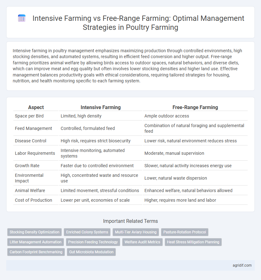 Intensive Farming vs Free-Range Farming: Optimal Management Strategies in Poultry Farming