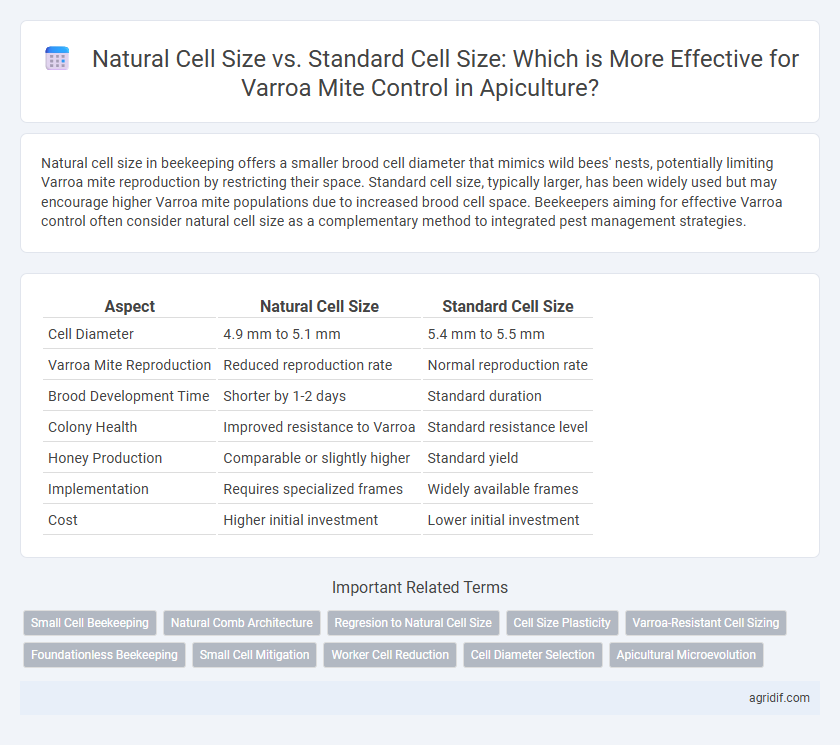 Natural Cell Size vs. Standard Cell Size: Which is More Effective for Varroa Mite Control in Apiculture?