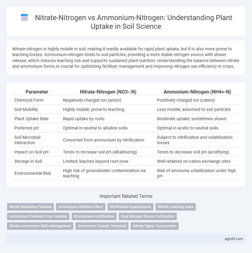 Nitrate-Nitrogen vs Ammonium-Nitrogen: Understanding Plant Uptake in Soil Science