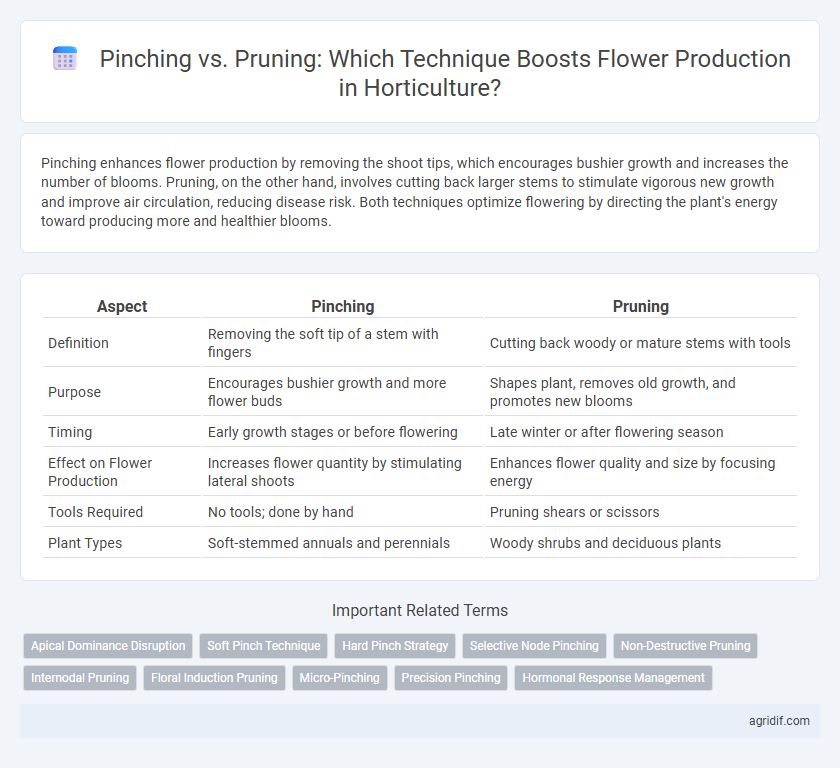 Pinching vs. Pruning: Which Technique Boosts Flower Production in Horticulture?