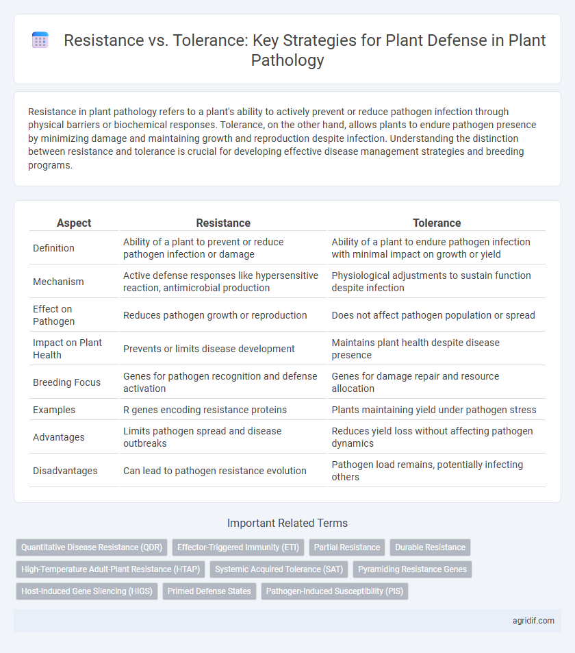 Resistance vs. Tolerance: Key Strategies for Plant Defense in Plant Pathology