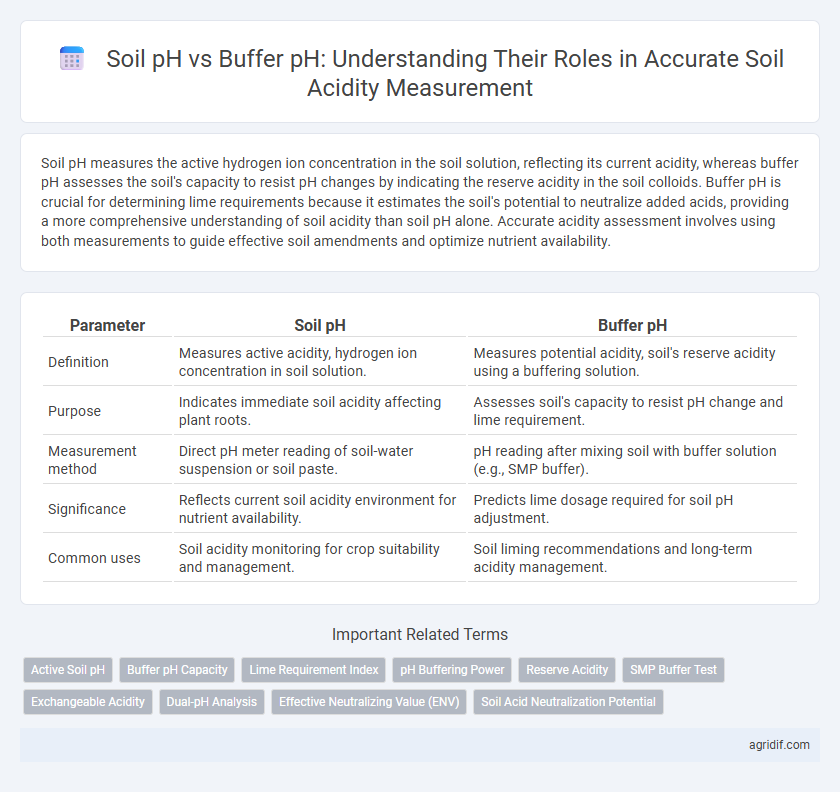 Soil pH vs Buffer pH: Understanding Their Roles in Accurate Soil Acidity Measurement