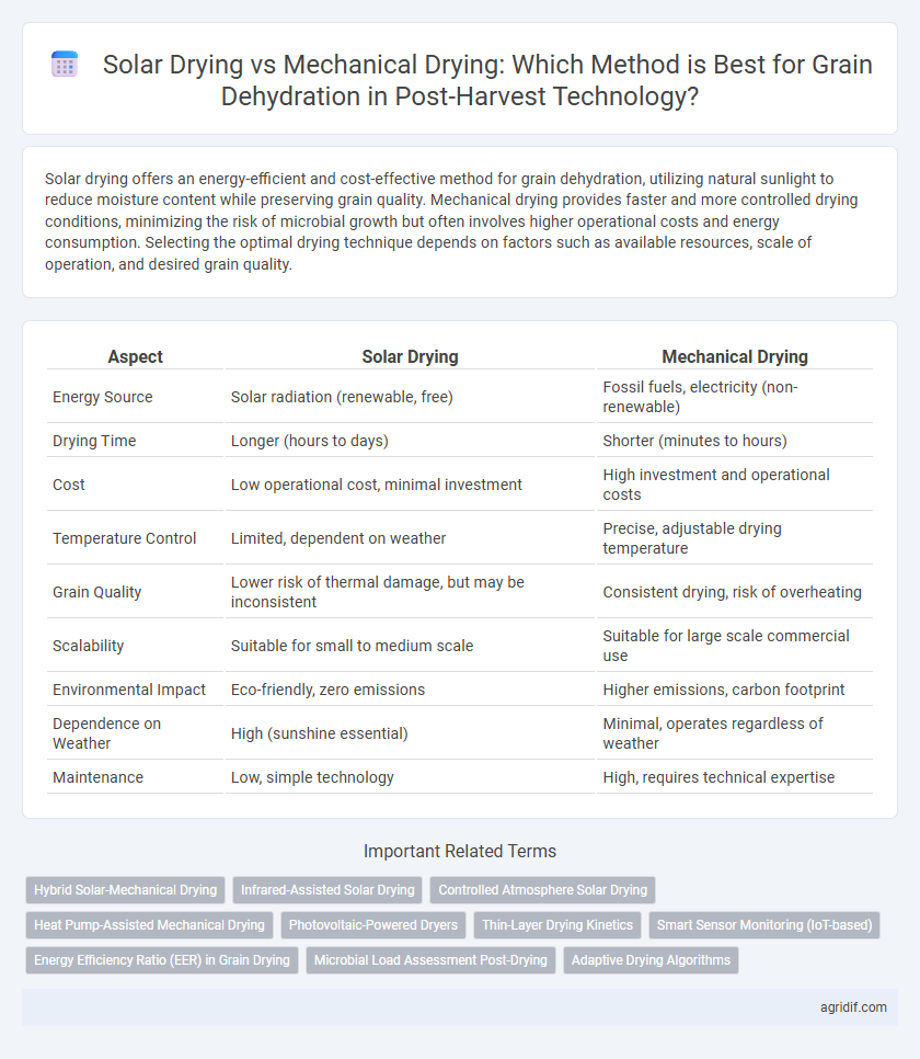 Solar Drying vs Mechanical Drying: Which Method is Best for Grain Dehydration in Post-Harvest Technology?