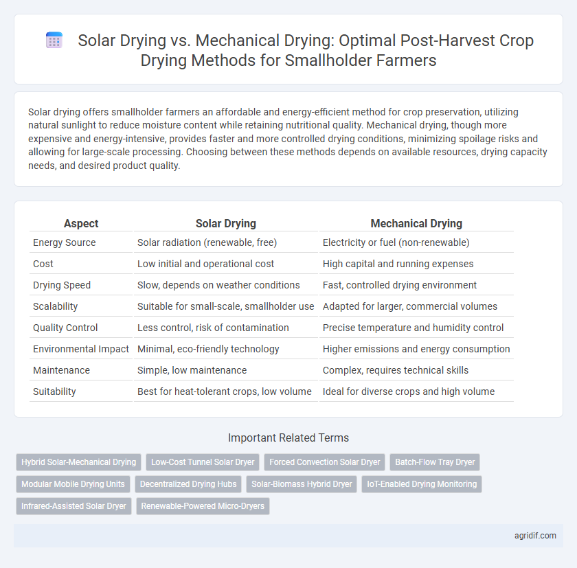 Solar Drying vs. Mechanical Drying: Optimal Post-Harvest Crop Drying Methods for Smallholder Farmers