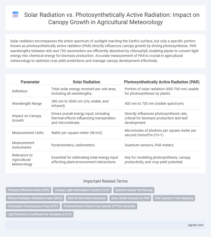 Solar Radiation vs. Photosynthetically Active Radiation: Impact on Canopy Growth in Agricultural Meteorology