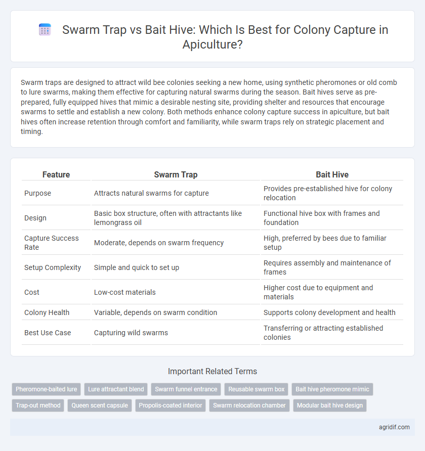 Swarm Trap vs Bait Hive: Which Is Best for Colony Capture in Apiculture?