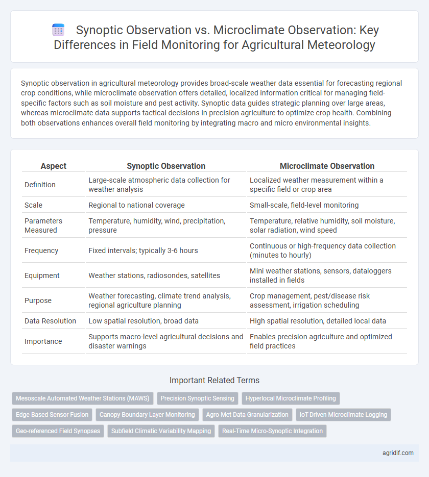 Synoptic Observation vs. Microclimate Observation: Key Differences in Field Monitoring for Agricultural Meteorology