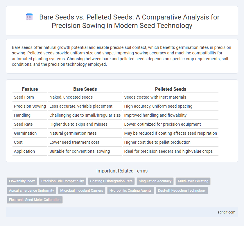 Bare Seeds vs. Pelleted Seeds: A Comparative Analysis for Precision Sowing in Modern Seed Technology