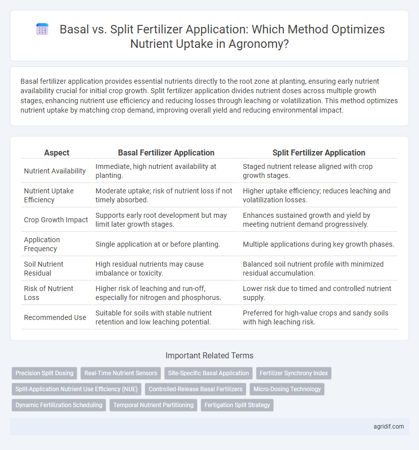 Basal vs. Split Fertilizer Application: Which Method Optimizes Nutrient Uptake in Agronomy?