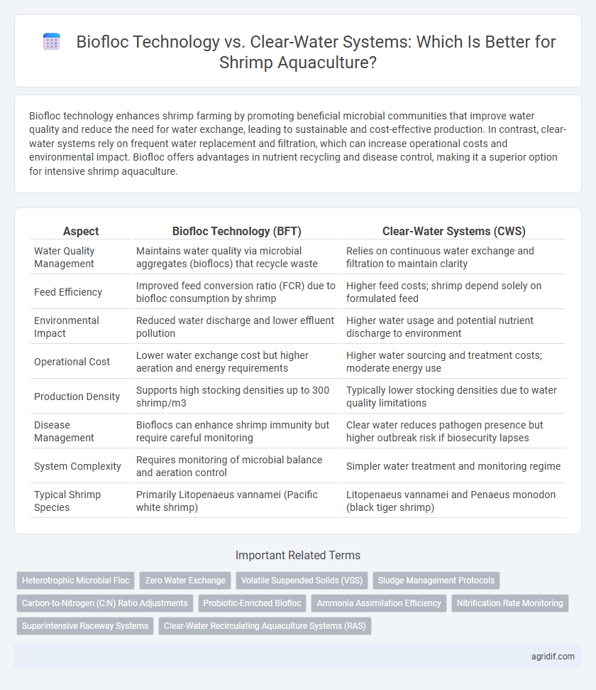 Biofloc Technology vs. Clear-Water Systems: Which Is Better for Shrimp Aquaculture?