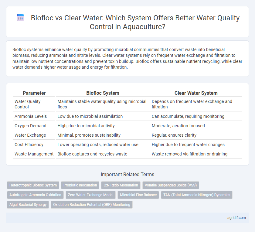 Biofloc vs Clear Water: Which System Offers Better Water Quality Control in Aquaculture?