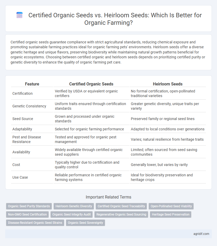 Certified Organic Seeds vs. Heirloom Seeds: Which Is Better for Organic Farming?