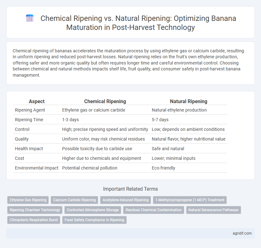 Chemical Ripening vs. Natural Ripening: Optimizing Banana Maturation in Post-Harvest Technology