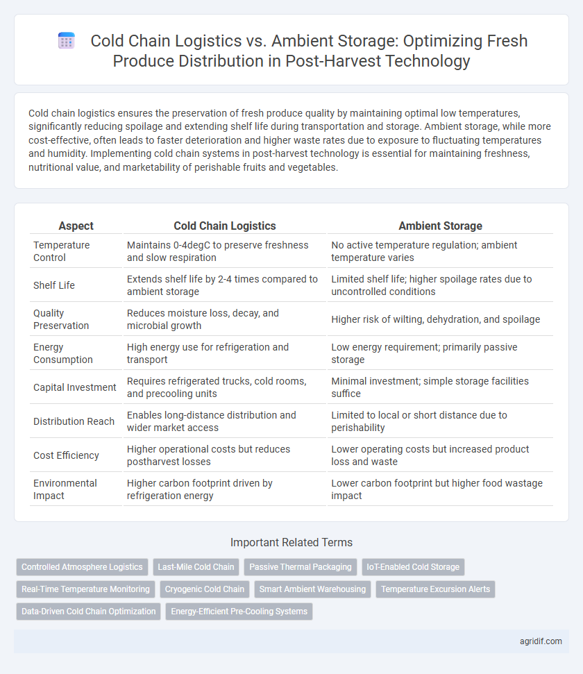 Cold Chain Logistics vs. Ambient Storage: Optimizing Fresh Produce Distribution in Post-Harvest Technology