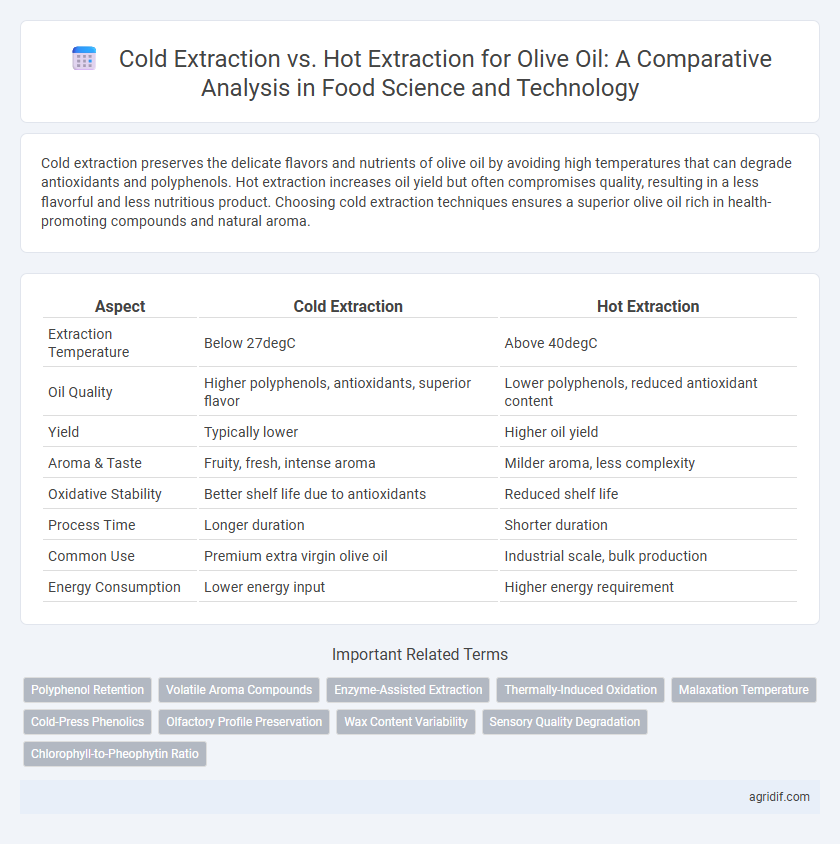 Cold Extraction vs. Hot Extraction for Olive Oil: A Comparative Analysis in Food Science and Technology