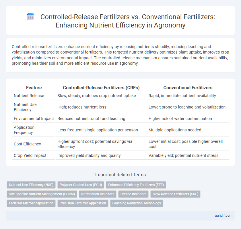 Controlled-Release Fertilizers vs. Conventional Fertilizers: Enhancing Nutrient Efficiency in Agronomy