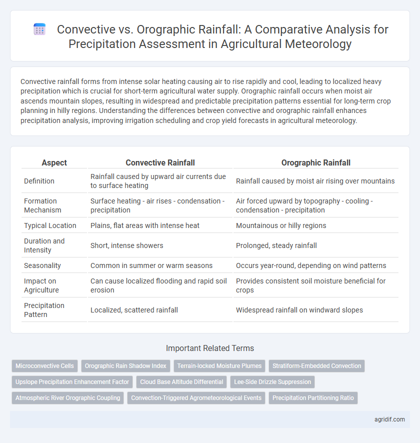 Convective vs. Orographic Rainfall: A Comparative Analysis for Precipitation Assessment in Agricultural Meteorology